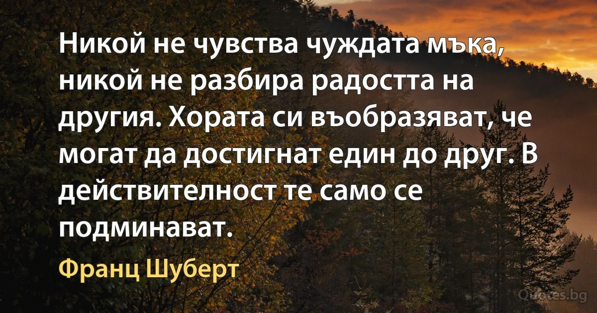 Никой не чувства чуждата мъка, никой не разбира радостта на другия. Хората си въобразяват, че могат да достигнат един до друг. В действителност те само се подминават. (Франц Шуберт)