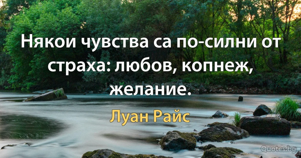 Някои чувства са по-силни от страха: любов, копнеж, желание. (Луан Райс)