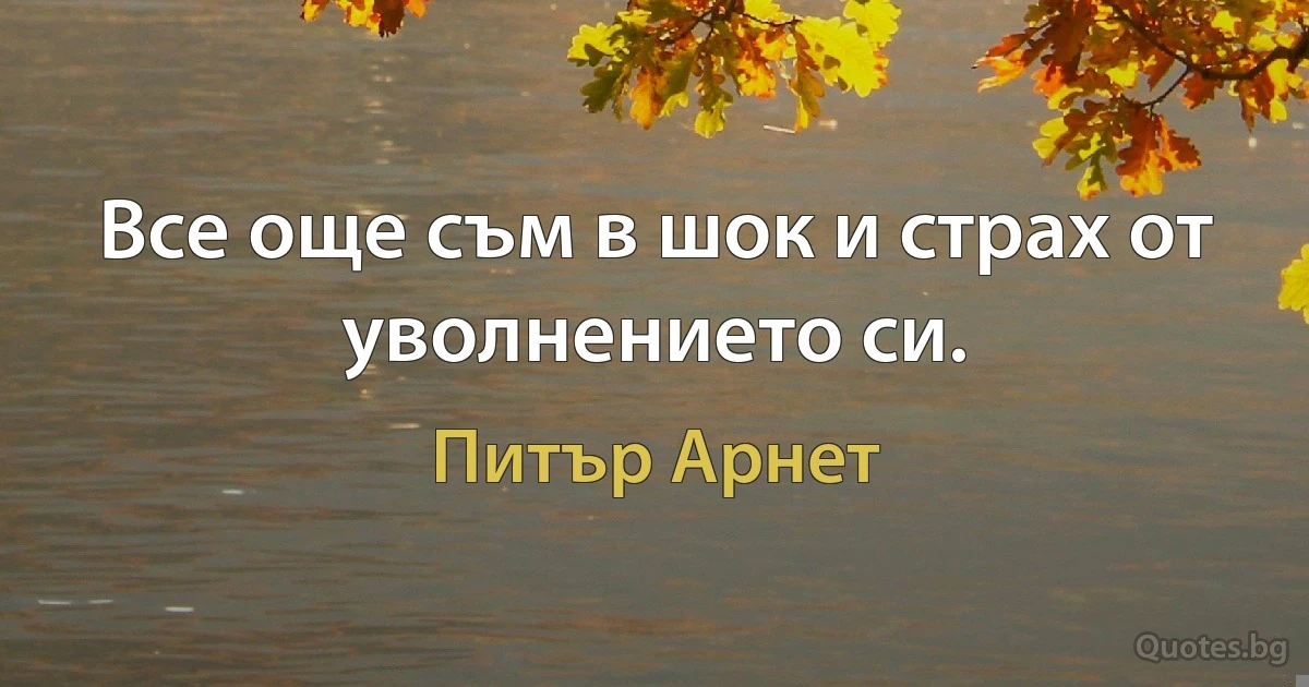 Все още съм в шок и страх от уволнението си. (Питър Арнет)