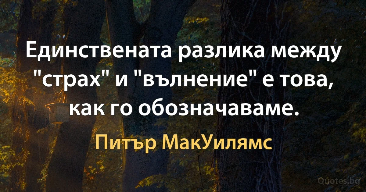 Единствената разлика между "страх" и "вълнение" е това, как го обозначаваме. (Питър МакУилямс)