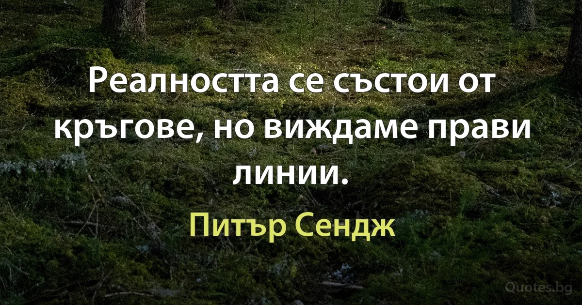 Реалността се състои от кръгове, но виждаме прави линии. (Питър Сендж)