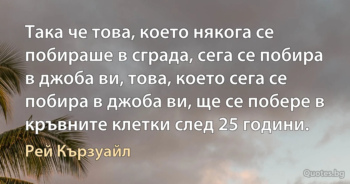 Така че това, което някога се побираше в сграда, сега се побира в джоба ви, това, което сега се побира в джоба ви, ще се побере в кръвните клетки след 25 години. (Рей Кързуайл)