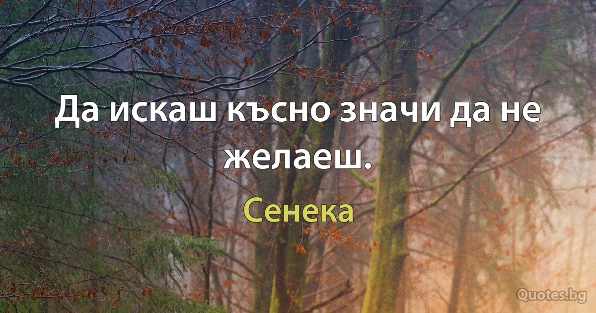 Да искаш късно значи да не желаеш. (Сенека)