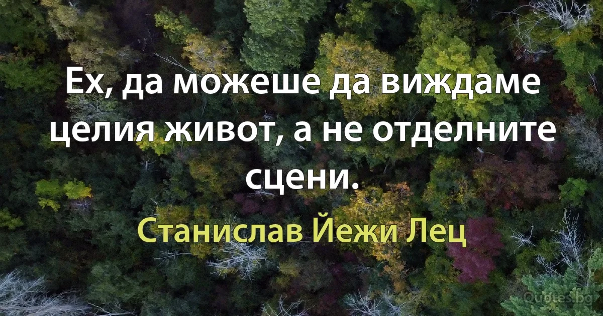 Ех, да можеше да виждаме целия живот, а не отделните сцени. (Станислав Йежи Лец)