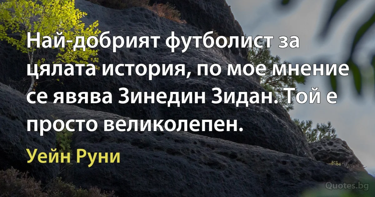 Най-добрият футболист за цялата история, по мое мнение се явява Зинедин Зидан. Той е просто великолепен. (Уейн Руни)