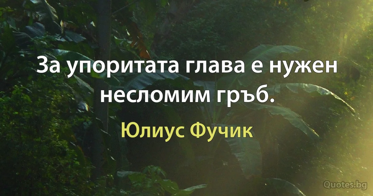 За упоритата глава е нужен несломим гръб. (Юлиус Фучик)