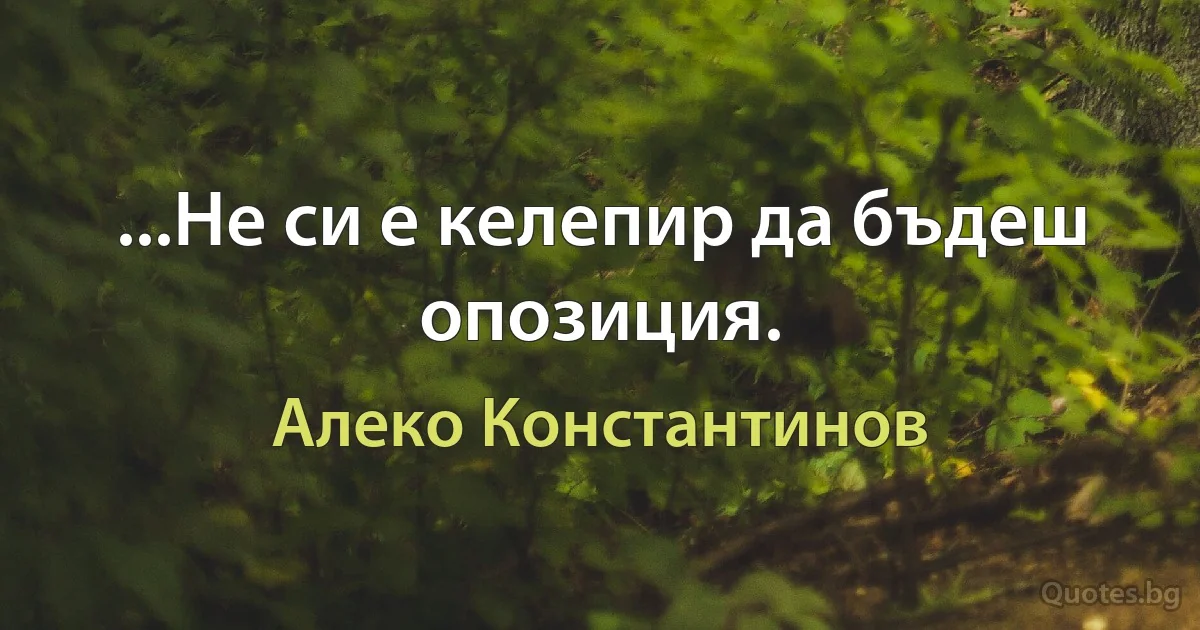 ...Не си е келепир да бъдеш опозиция. (Алеко Константинов)