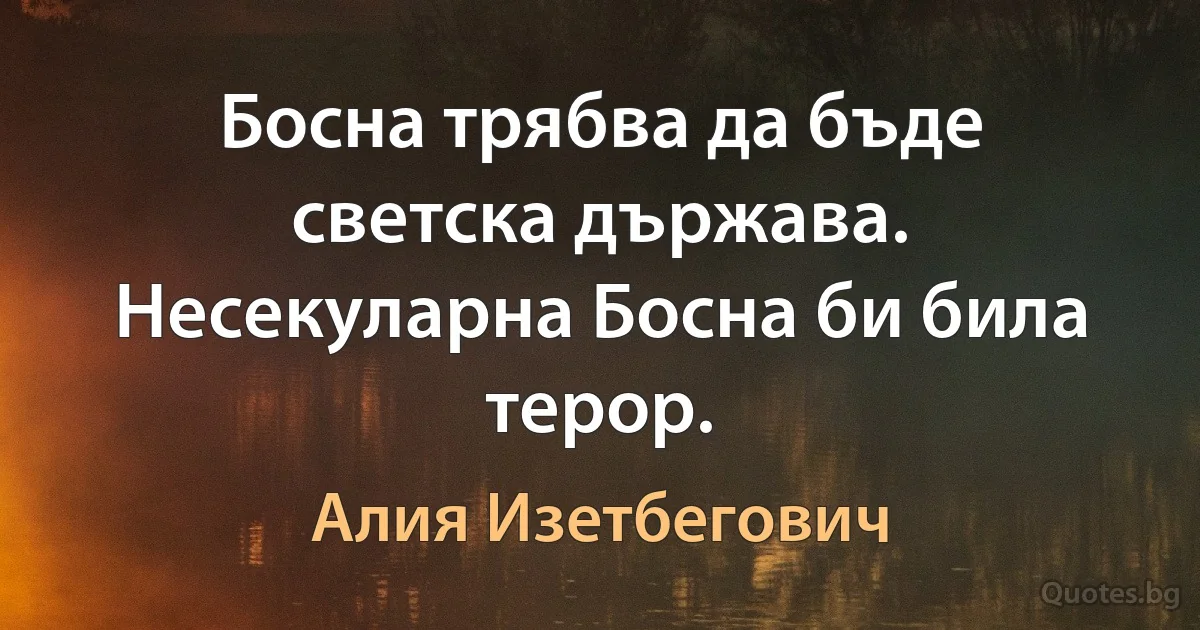 Босна трябва да бъде светска държава. Несекуларна Босна би била терор. (Алия Изетбегович)