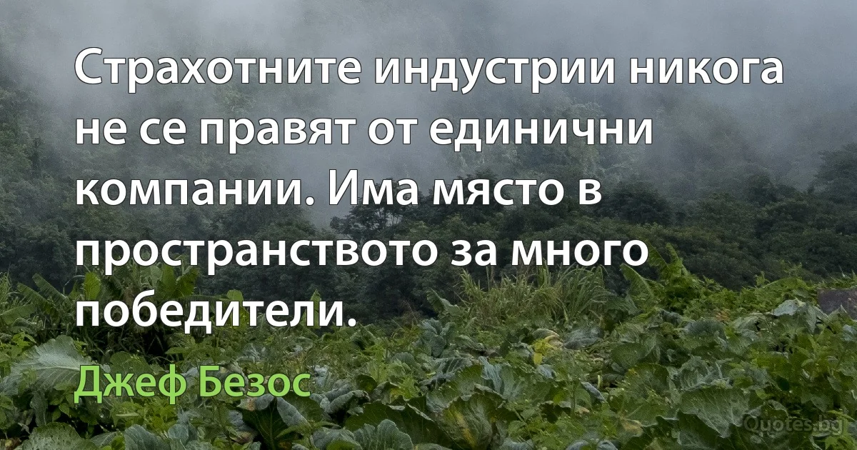 Страхотните индустрии никога не се правят от единични компании. Има място в пространството за много победители. (Джеф Безос)