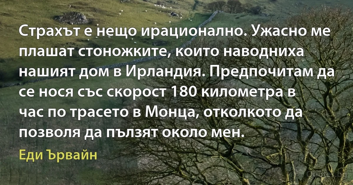 Страхът е нещо ирационално. Ужасно ме плашат стоножките, които наводниха нашият дом в Ирландия. Предпочитам да се нося със скорост 180 километра в час по трасето в Монца, отколкото да позволя да пълзят около мен. (Еди Ървайн)