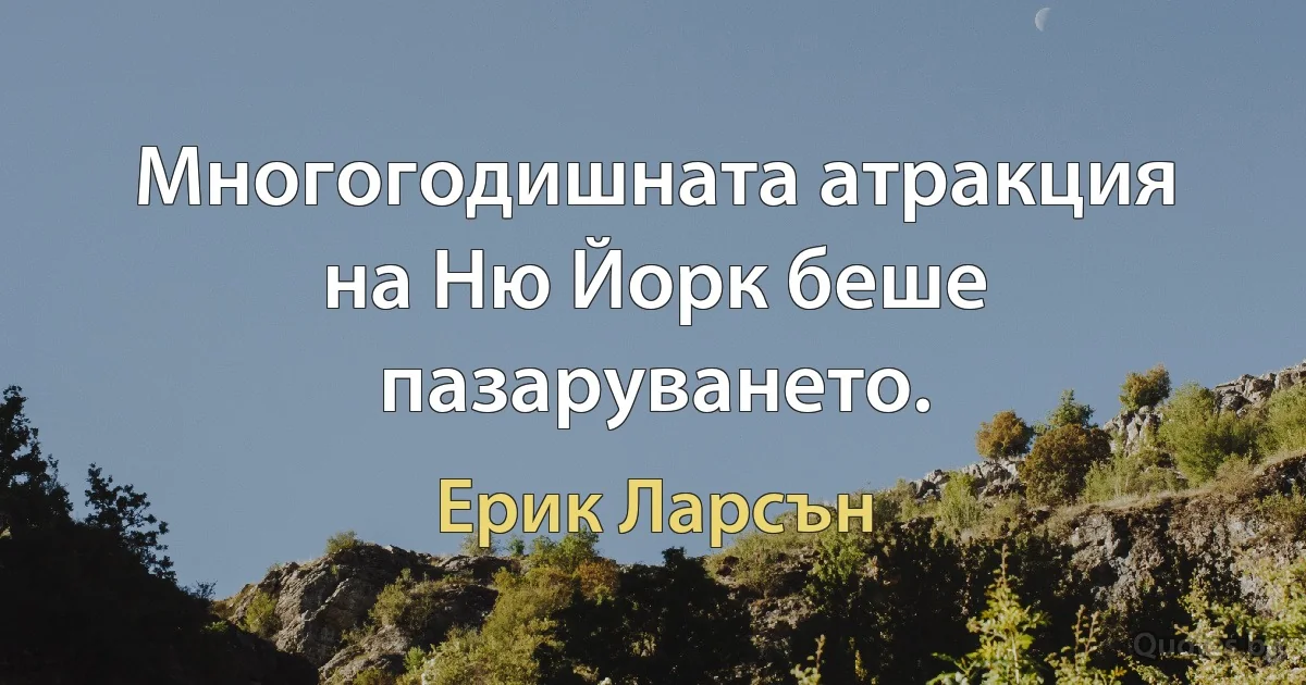 Многогодишната атракция на Ню Йорк беше пазаруването. (Ерик Ларсън)