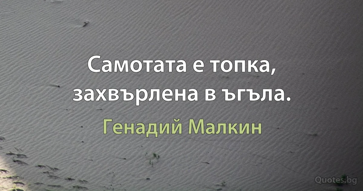 Самотата е топка, захвърлена в ъгъла. (Генадий Малкин)