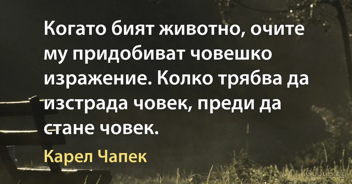 Когато бият животно, очите му придобиват човешко изражение. Колко трябва да изстрада човек, преди да стане човек. (Карел Чапек)