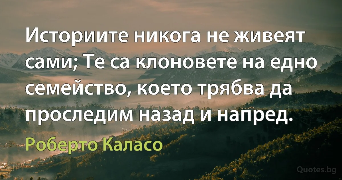 Историите никога не живеят сами; Те са клоновете на едно семейство, което трябва да проследим назад и напред. (Роберто Каласо)