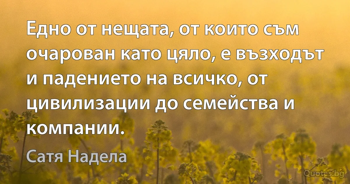 Едно от нещата, от които съм очарован като цяло, е възходът и падението на всичко, от цивилизации до семейства и компании. (Сатя Надела)