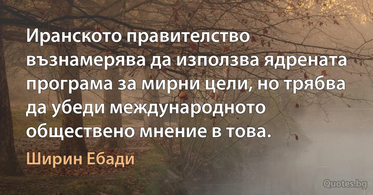 Иранското правителство възнамерява да използва ядрената програма за мирни цели, но трябва да убеди международното обществено мнение в това. (Ширин Ебади)