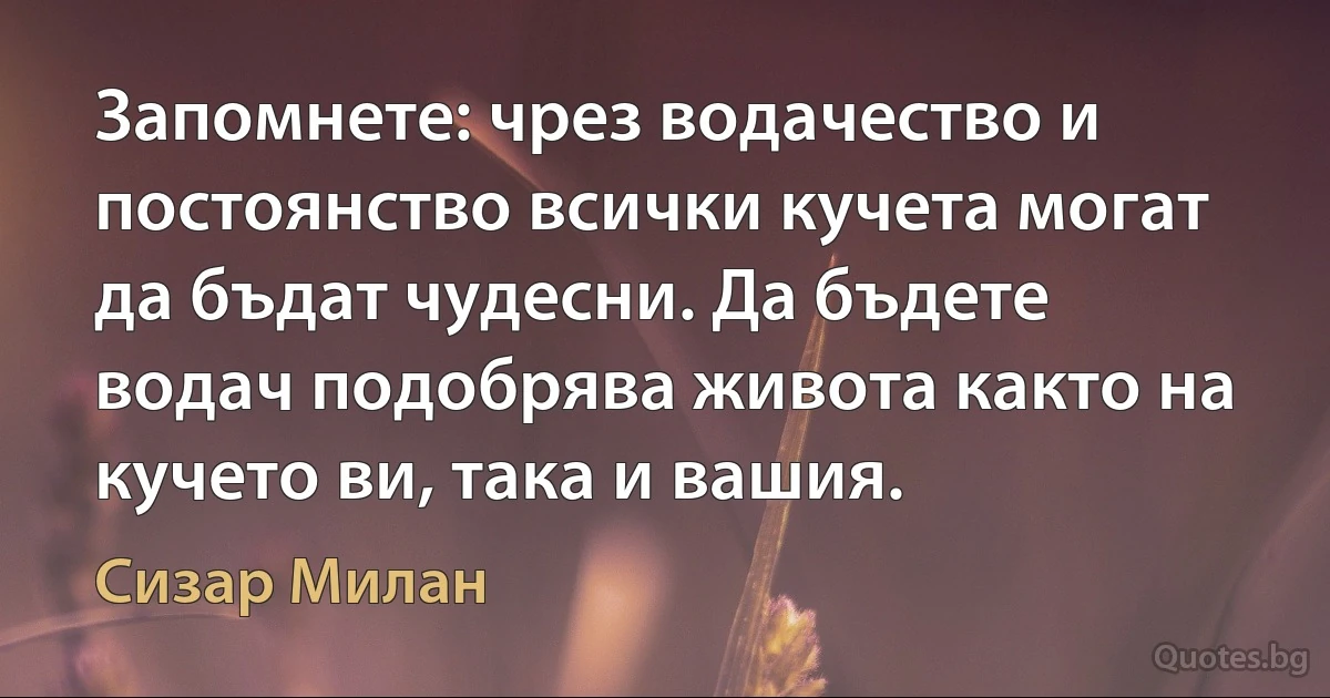 Запомнете: чрез водачество и постоянство всички кучета могат да бъдат чудесни. Да бъдете водач подобрява живота както на кучето ви, така и вашия. (Сизар Милан)