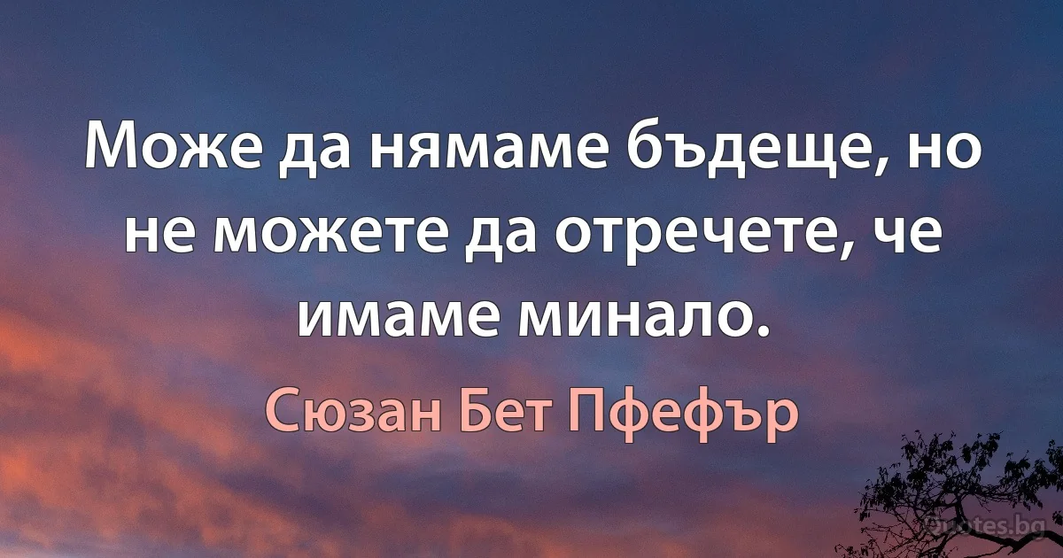 Може да нямаме бъдеще, но не можете да отречете, че имаме минало. (Сюзан Бет Пфефър)