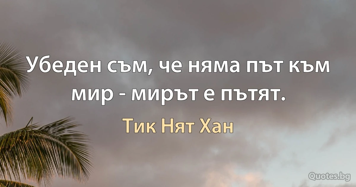 Убеден съм, че няма път към мир - мирът е пътят. (Тик Нят Хан)