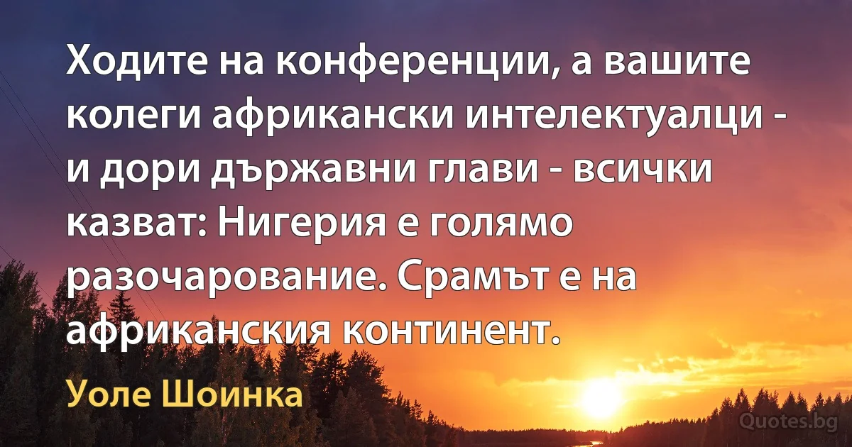 Ходите на конференции, а вашите колеги африкански интелектуалци - и дори държавни глави - всички казват: Нигерия е голямо разочарование. Срамът е на африканския континент. (Уоле Шоинка)