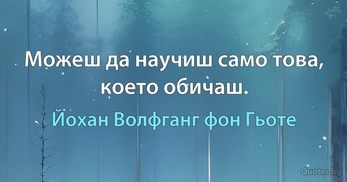 Можеш да научиш само това, което обичаш. (Йохан Волфганг фон Гьоте)