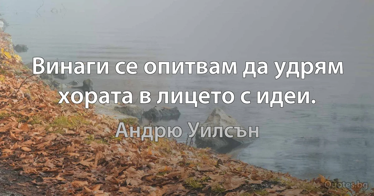 Винаги се опитвам да удрям хората в лицето с идеи. (Андрю Уилсън)