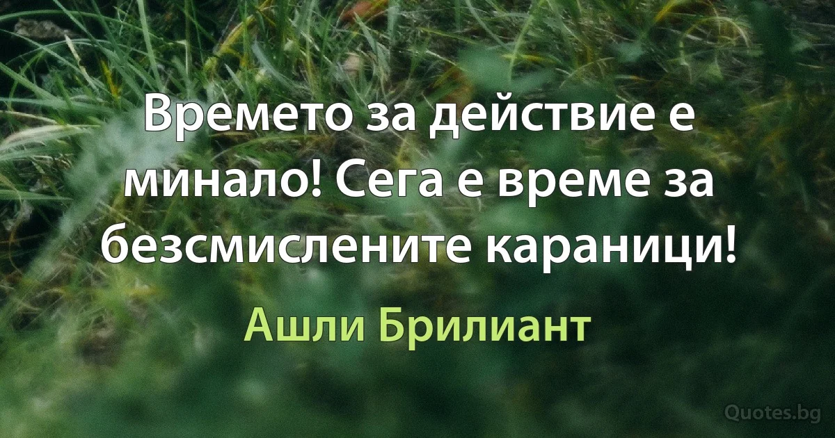 Времето за действие е минало! Сега е време за безсмислените караници! (Ашли Брилиант)