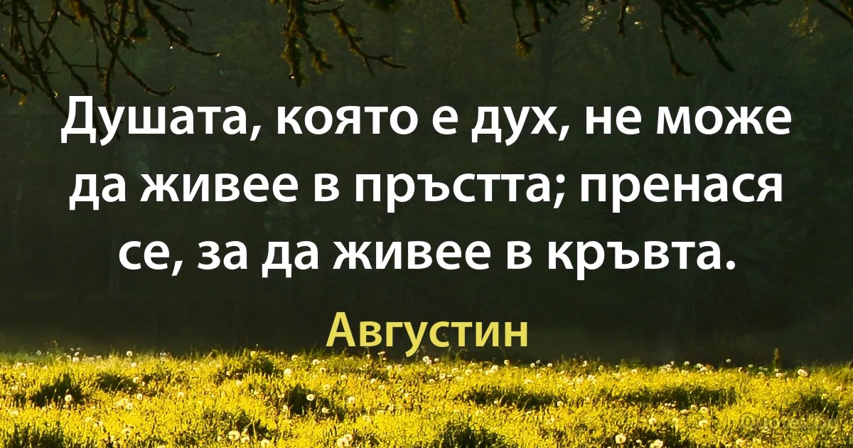 Душата, която е дух, не може да живее в пръстта; пренася се, за да живее в кръвта. (Августин)