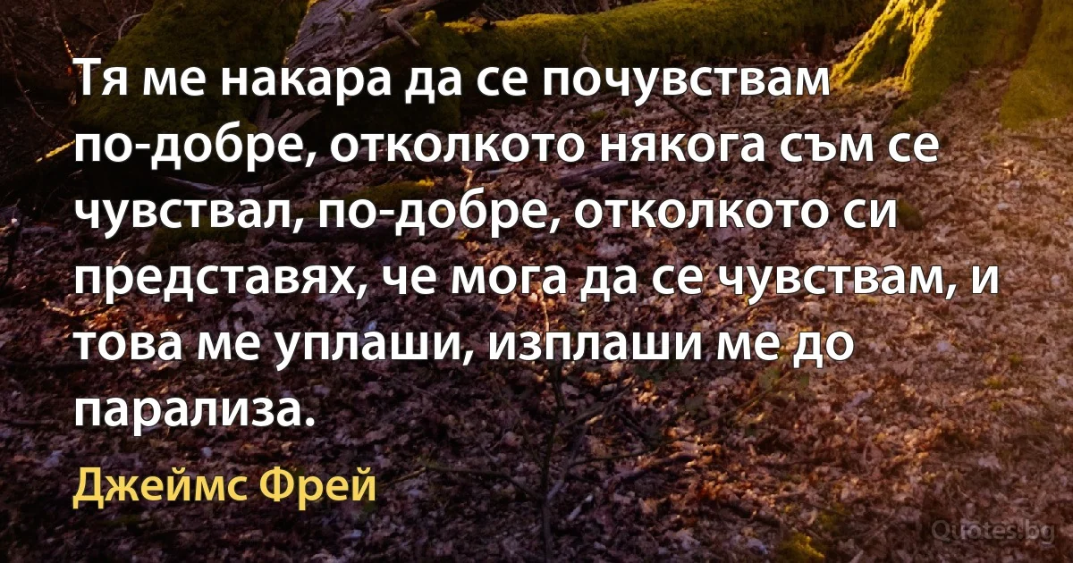 Тя ме накара да се почувствам по-добре, отколкото някога съм се чувствал, по-добре, отколкото си представях, че мога да се чувствам, и това ме уплаши, изплаши ме до парализа. (Джеймс Фрей)