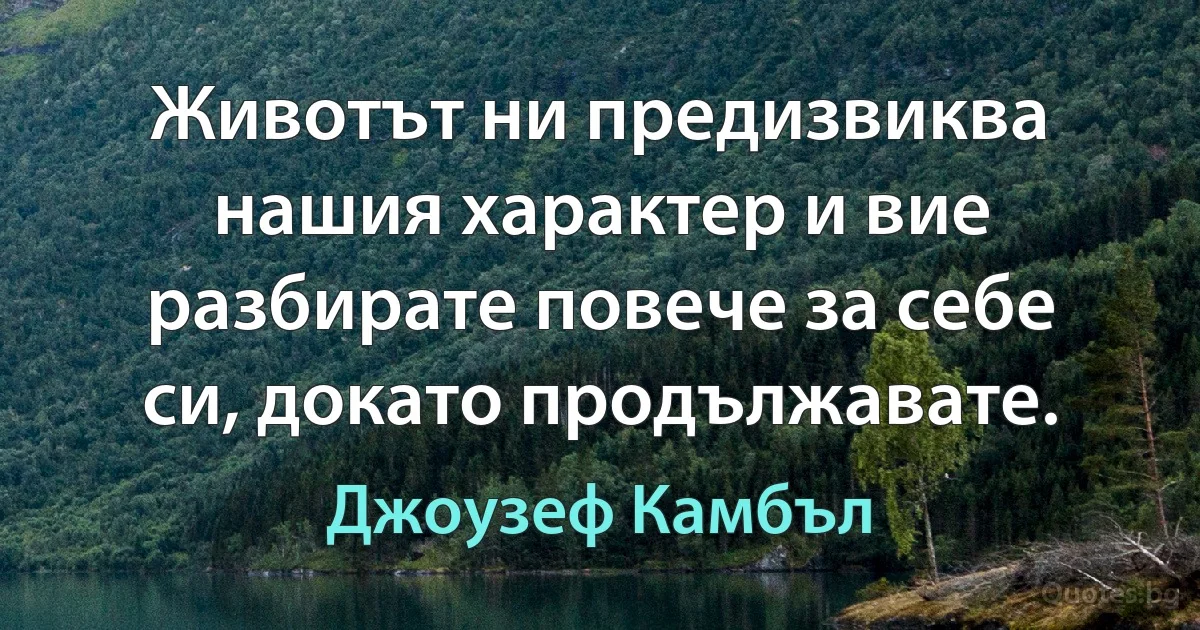 Животът ни предизвиква нашия характер и вие разбирате повече за себе си, докато продължавате. (Джоузеф Камбъл)