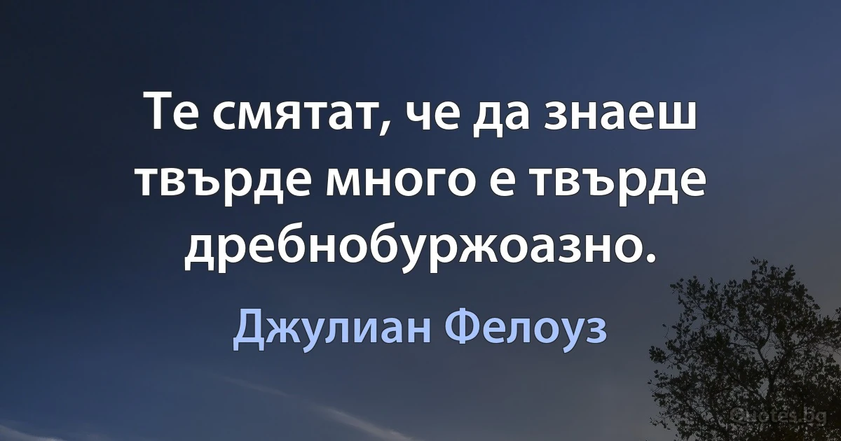 Те смятат, че да знаеш твърде много е твърде дребнобуржоазно. (Джулиан Фелоуз)