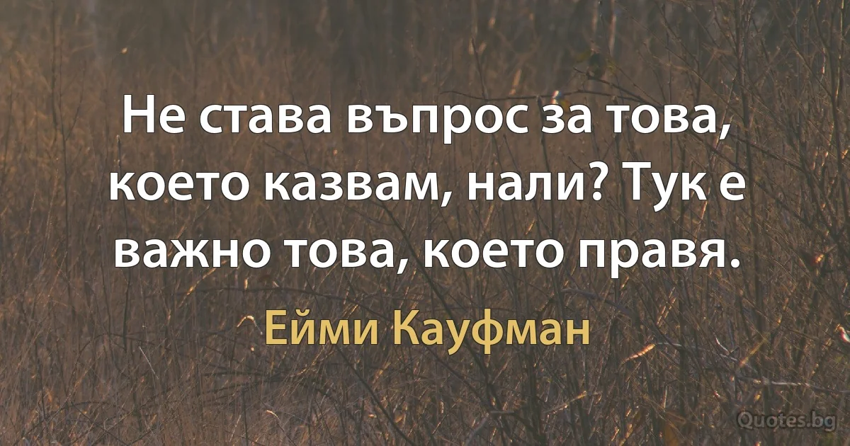 Не става въпрос за това, което казвам, нали? Тук е важно това, което правя. (Ейми Кауфман)