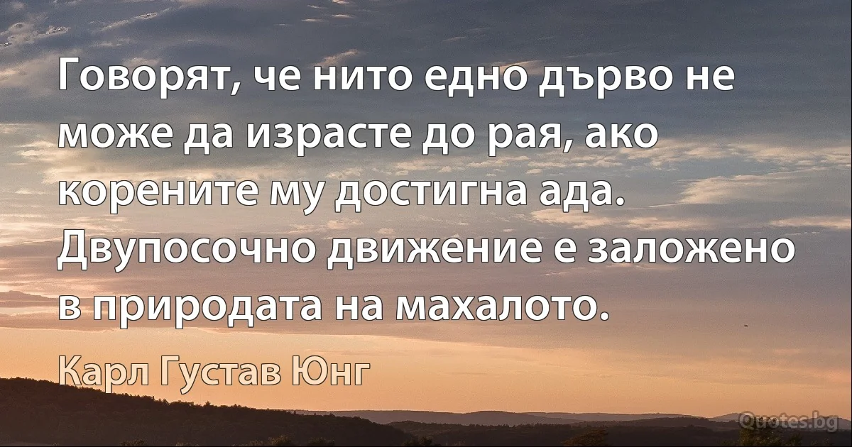 Говорят, че нито едно дърво не може да израсте до рая, ако корените му достигна ада. Двупосочно движение е заложено в природата на махалото. (Карл Густав Юнг)