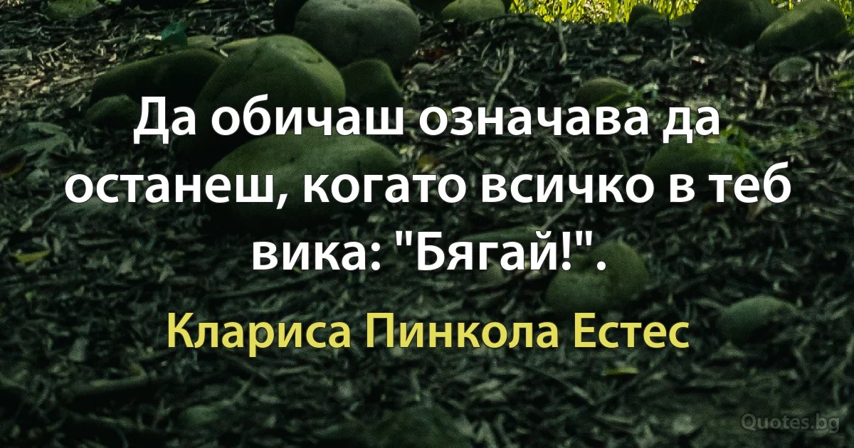 Да обичаш означава да останеш, когато всичко в теб вика: "Бягай!". (Клариса Пинкола Естес)