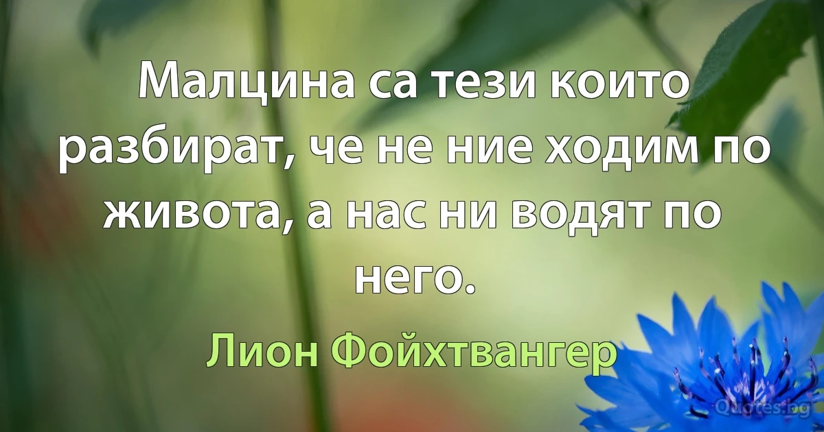 Малцина са тези които разбират, че не ние ходим по живота, а нас ни водят по него. (Лион Фойхтвангер)