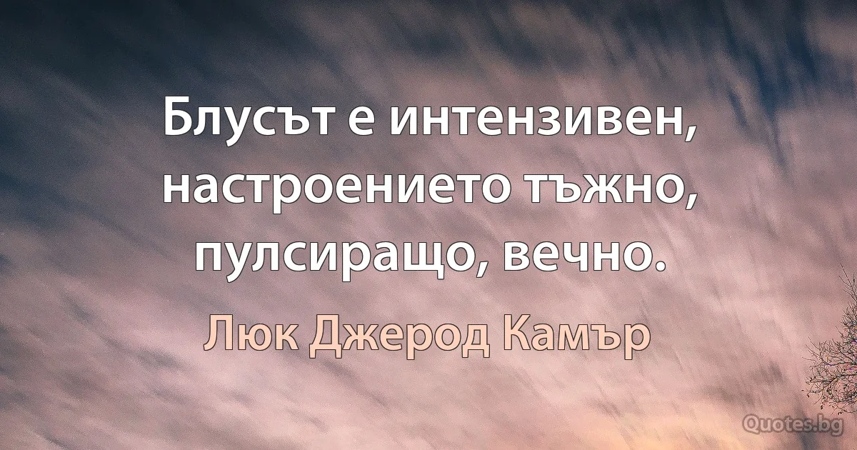 Блусът е интензивен, настроението тъжно, пулсиращо, вечно. (Люк Джерод Камър)