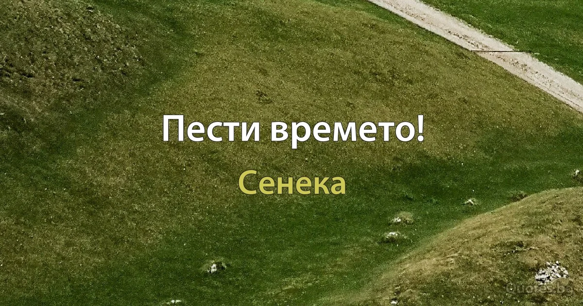 Пести времето! (Сенека)