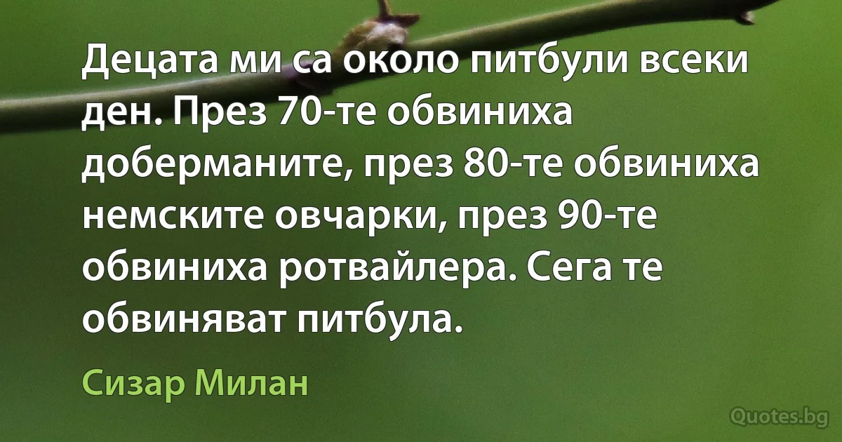 Децата ми са около питбули всеки ден. През 70-те обвиниха доберманите, през 80-те обвиниха немските овчарки, през 90-те обвиниха ротвайлера. Сега те обвиняват питбула. (Сизар Милан)