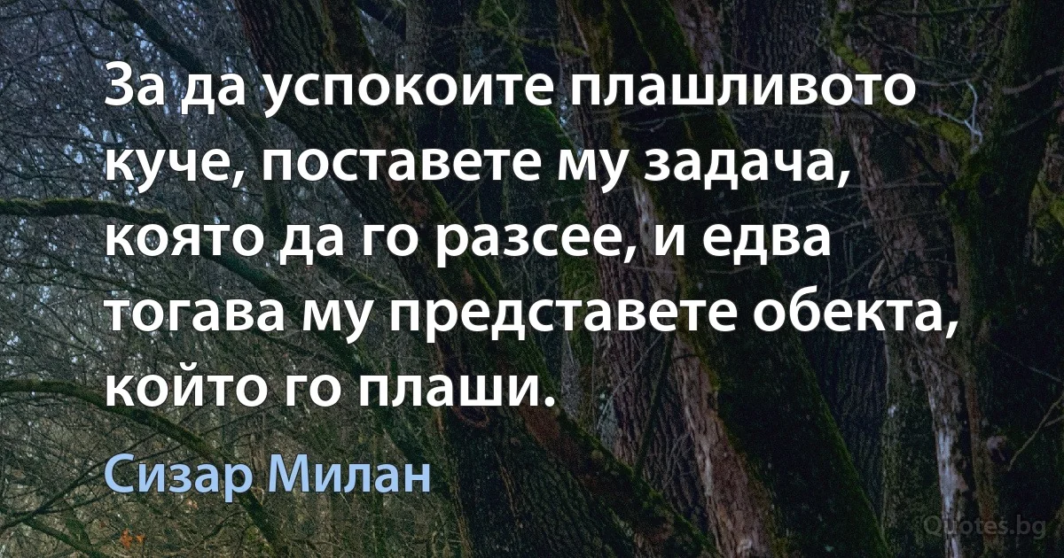 За да успокоите плашливото куче, поставете му задача, която да го разсее, и едва тогава му представете обекта, който го плаши. (Сизар Милан)