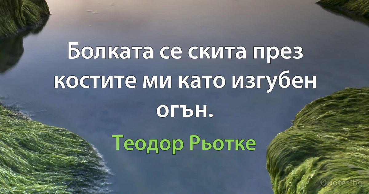 Болката се скита през костите ми като изгубен огън. (Теодор Рьотке)