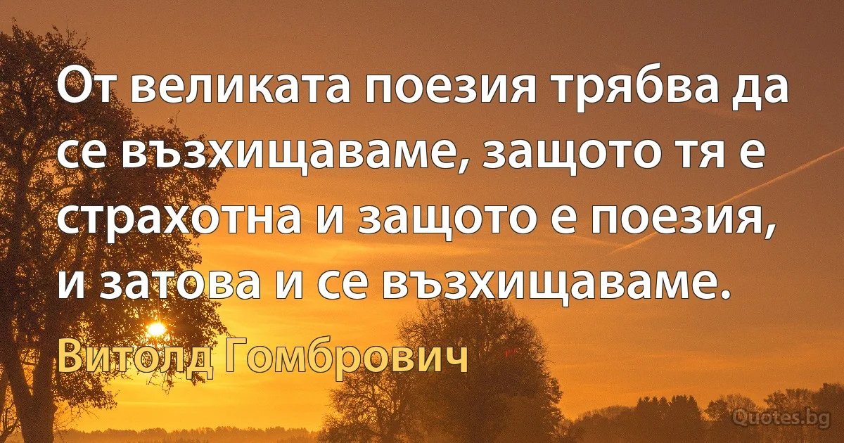 От великата поезия трябва да се възхищаваме, защото тя е страхотна и защото е поезия, и затова и се възхищаваме. (Витолд Гомбрович)