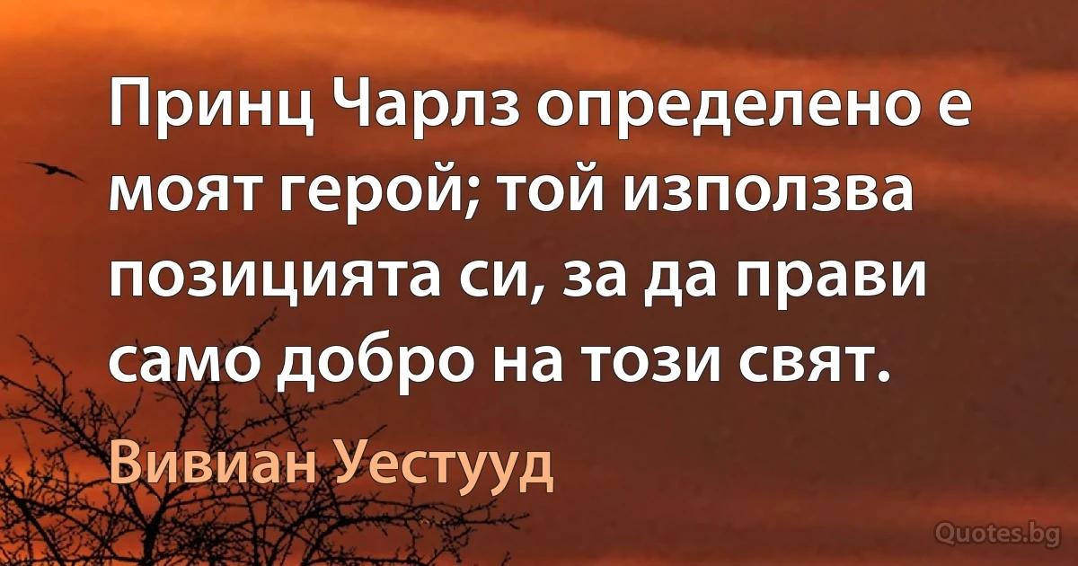 Принц Чарлз определено е моят герой; той използва позицията си, за да прави само добро на този свят. (Вивиан Уестууд)