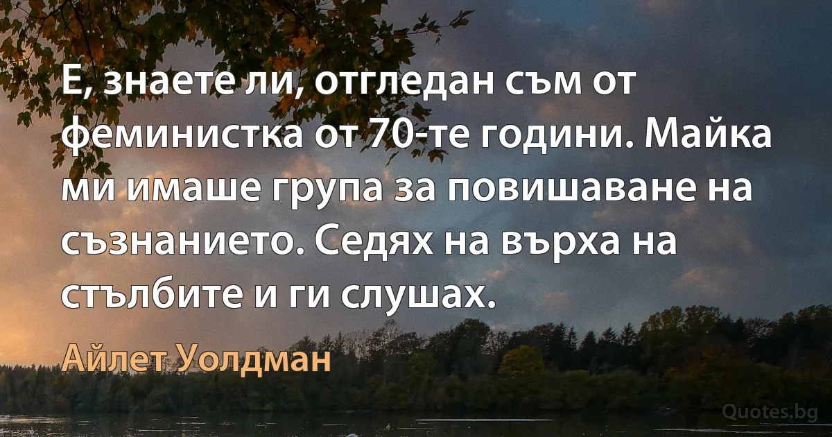 Е, знаете ли, отгледан съм от феминистка от 70-те години. Майка ми имаше група за повишаване на съзнанието. Седях на върха на стълбите и ги слушах. (Айлет Уолдман)