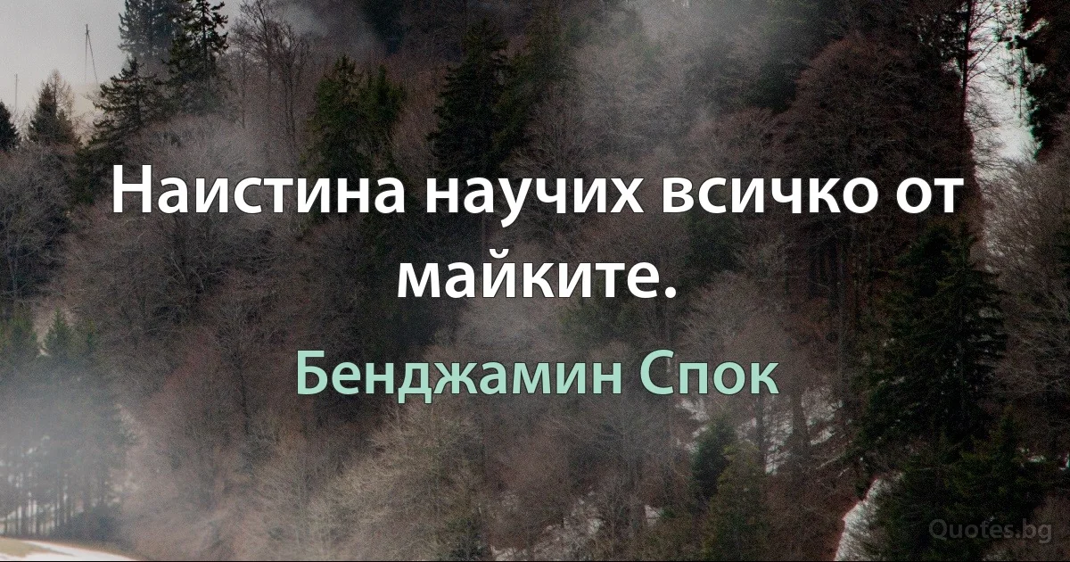 Наистина научих всичко от майките. (Бенджамин Спок)