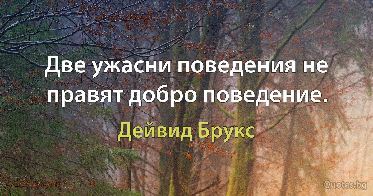 Две ужасни поведения не правят добро поведение. (Дейвид Брукс)