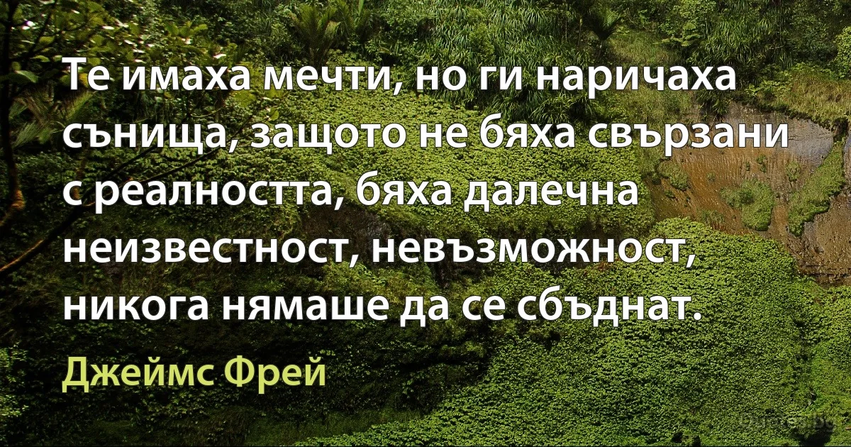 Те имаха мечти, но ги наричаха сънища, защото не бяха свързани с реалността, бяха далечна неизвестност, невъзможност, никога нямаше да се сбъднат. (Джеймс Фрей)