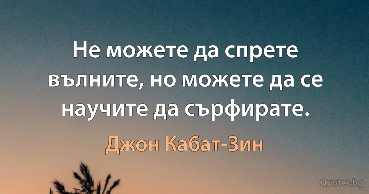 Не можете да спрете вълните, но можете да се научите да сърфирате. (Джон Кабат-Зин)