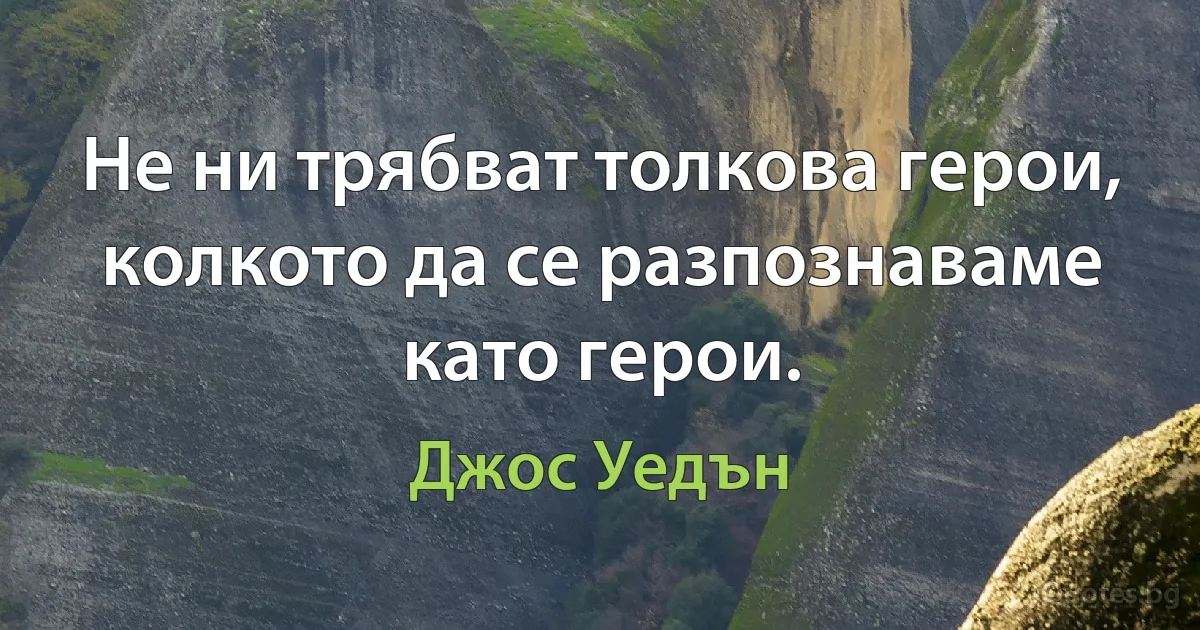 Не ни трябват толкова герои, колкото да се разпознаваме като герои. (Джос Уедън)