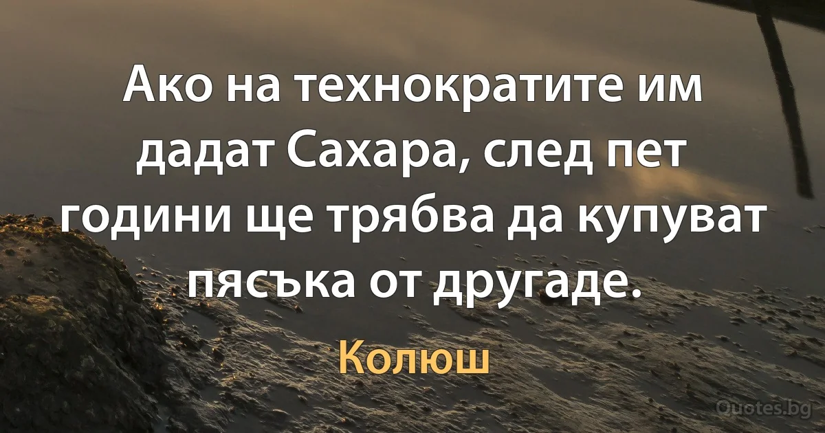 Ако на технократите им дадат Сахара, след пет години ще трябва да купуват пясъка от другаде. (Колюш)