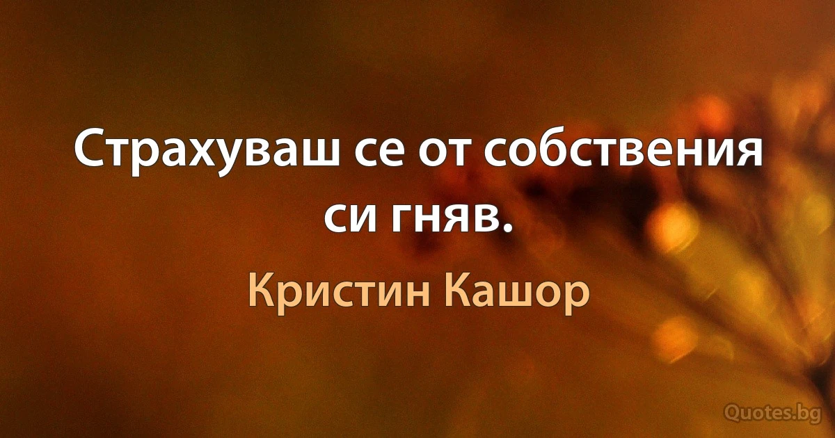 Страхуваш се от собствения си гняв. (Кристин Кашор)